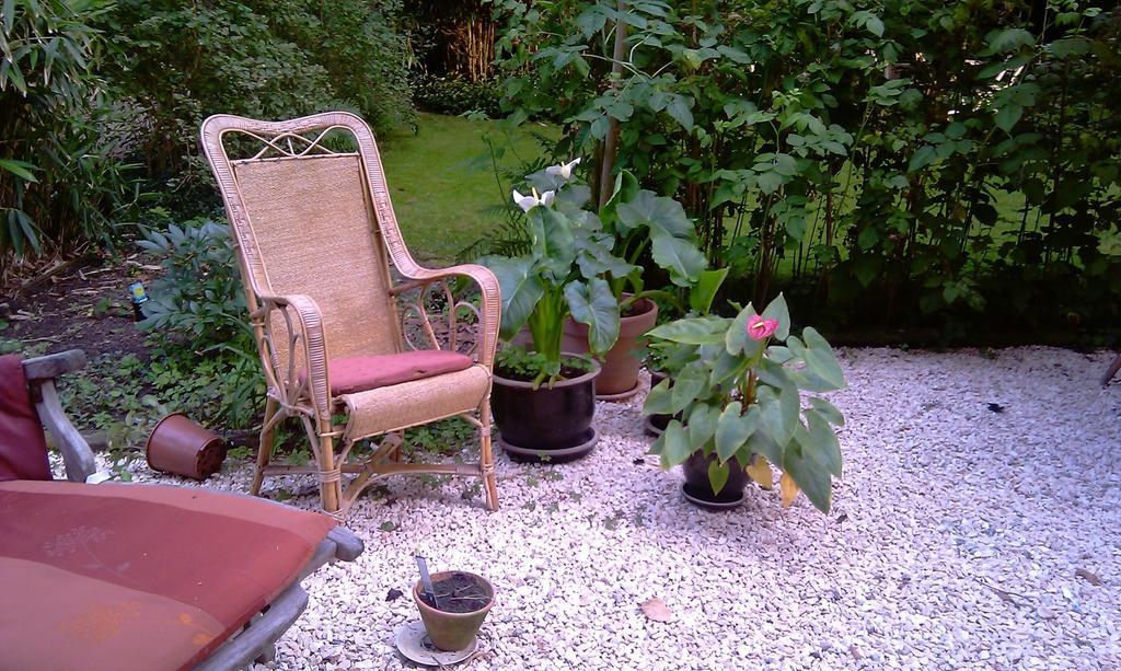 B&B The Aum-House Gand Extérieur photo